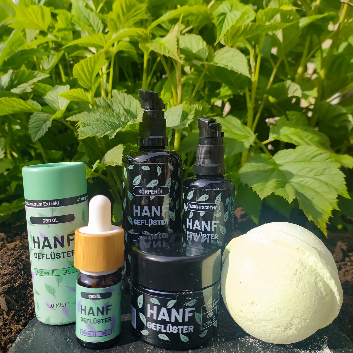 Hanfgeflüster-Produkte vor einer grünen Pflanze