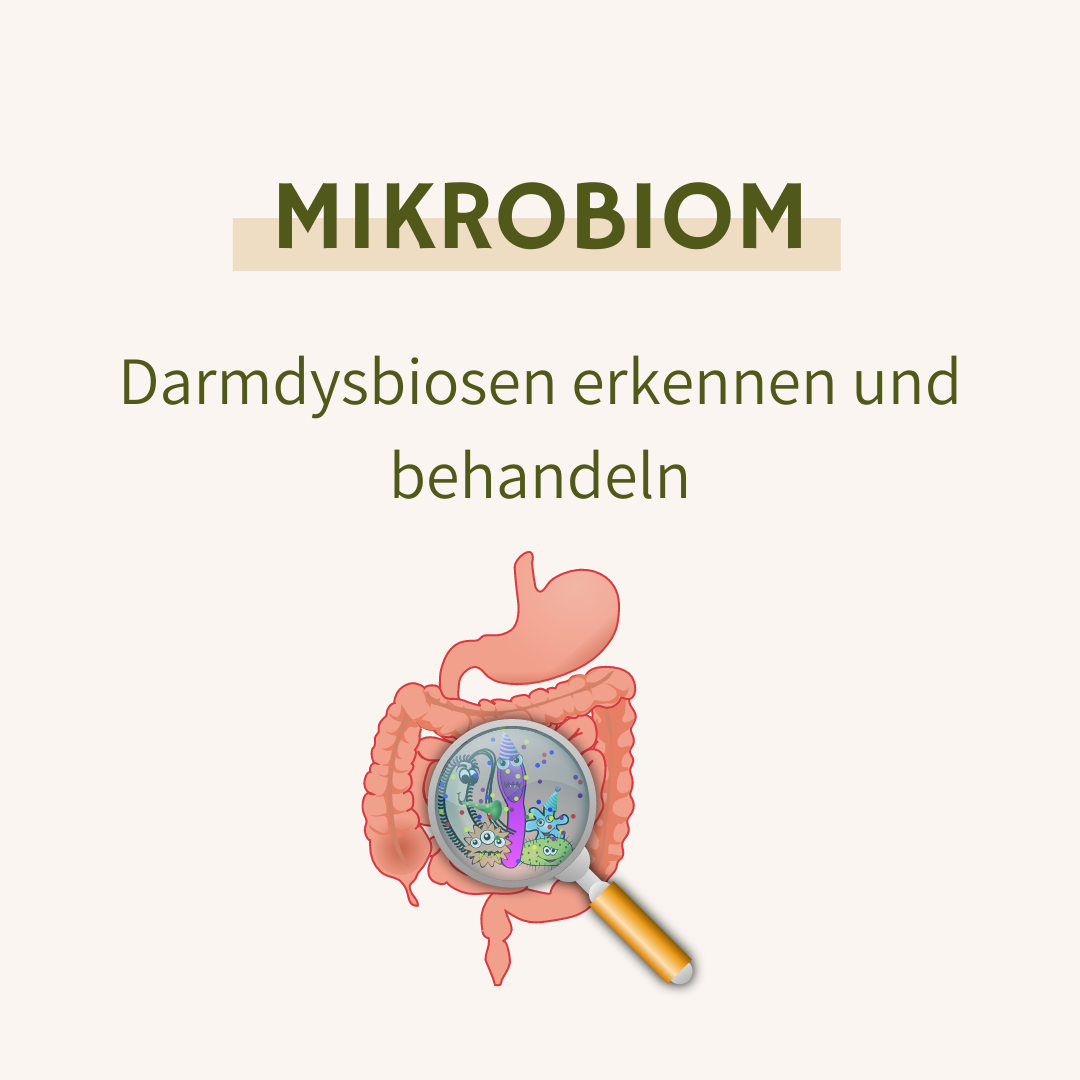 Cover des Webinars Mikrobiom - Darmdysbiosen erkennen und behandeln