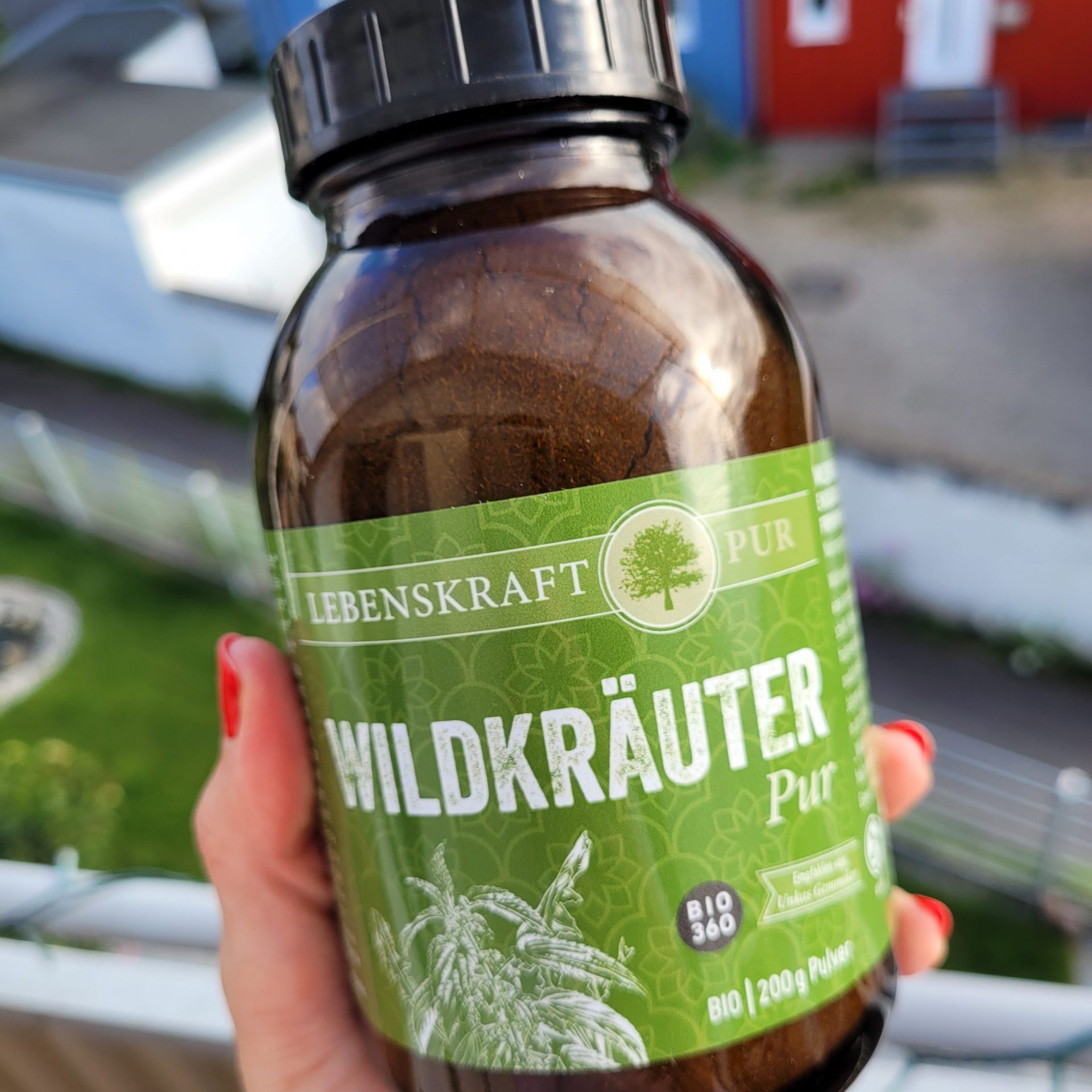 Eine Hand hält Lebenskraft Wildkräuter Pur