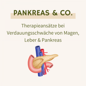 Cover des Webinars Pankreas & Co. - Verdauungsschwäche von Magen, Leber & Pankreas