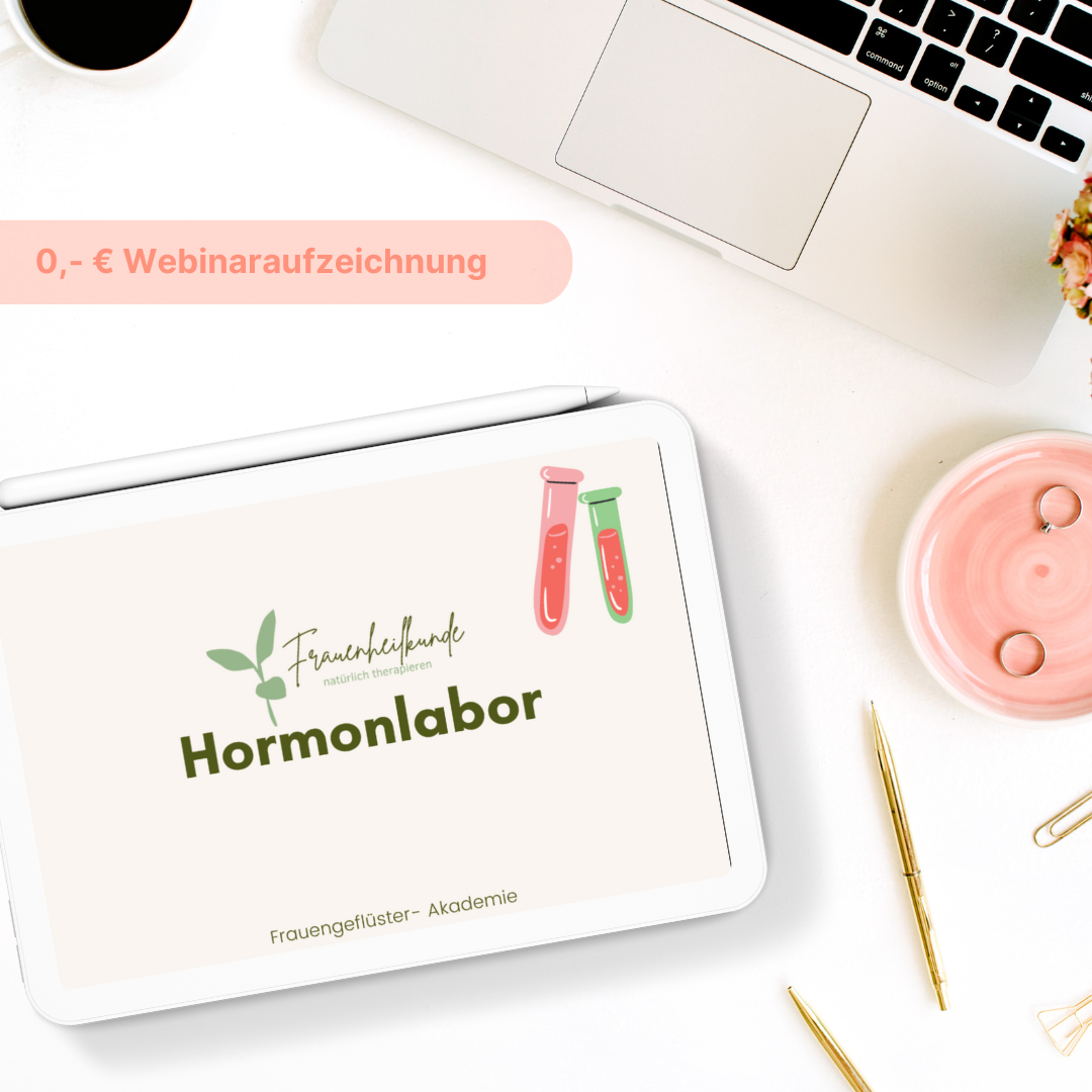 Hormonlabor Mockup 1