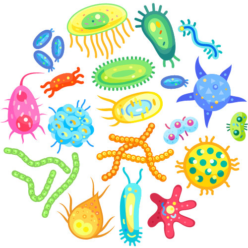 Illustration von bunten Prä- und Probiotika