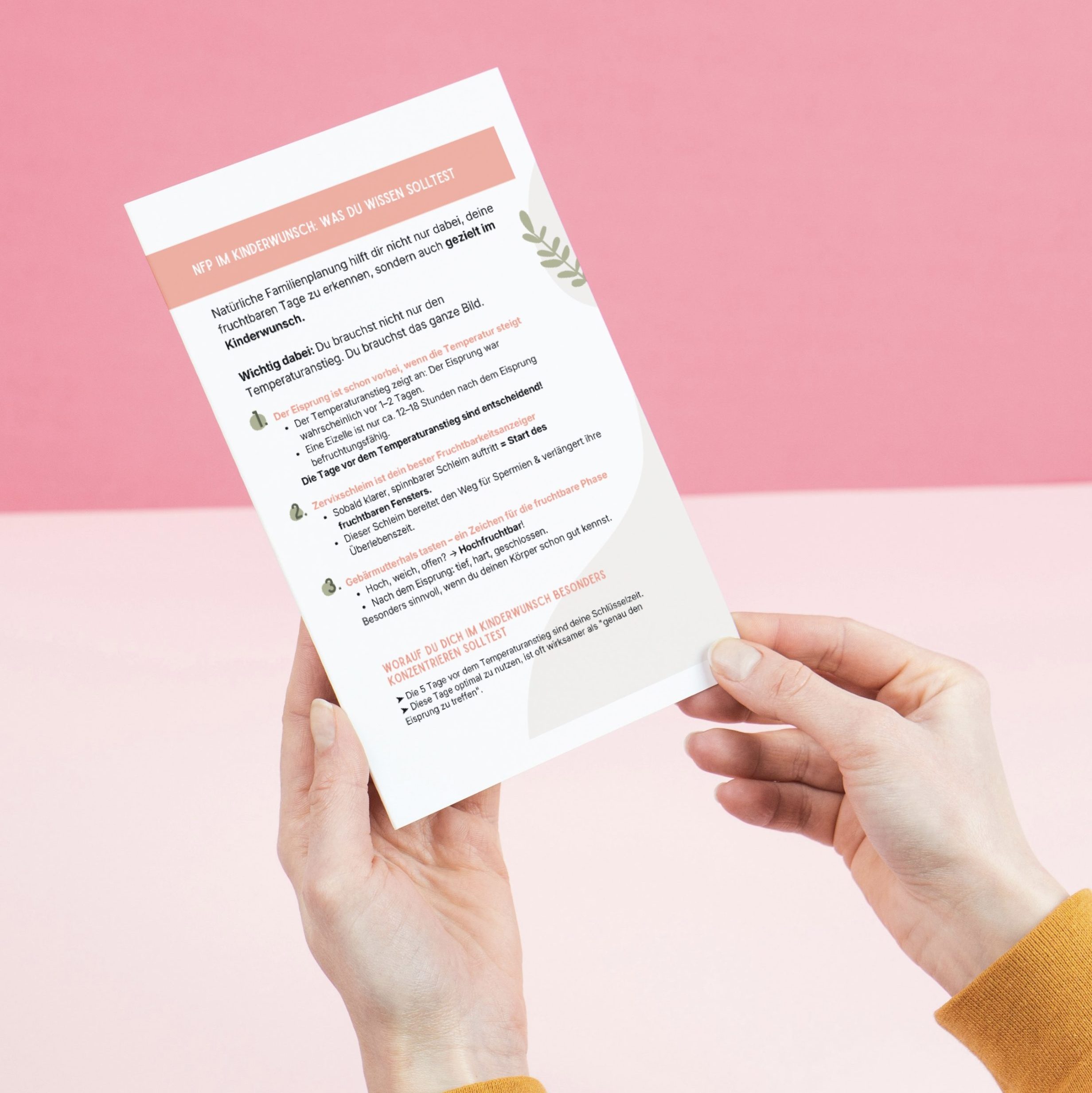 NFP-Bundle 10 NFP im Kinderwunsch