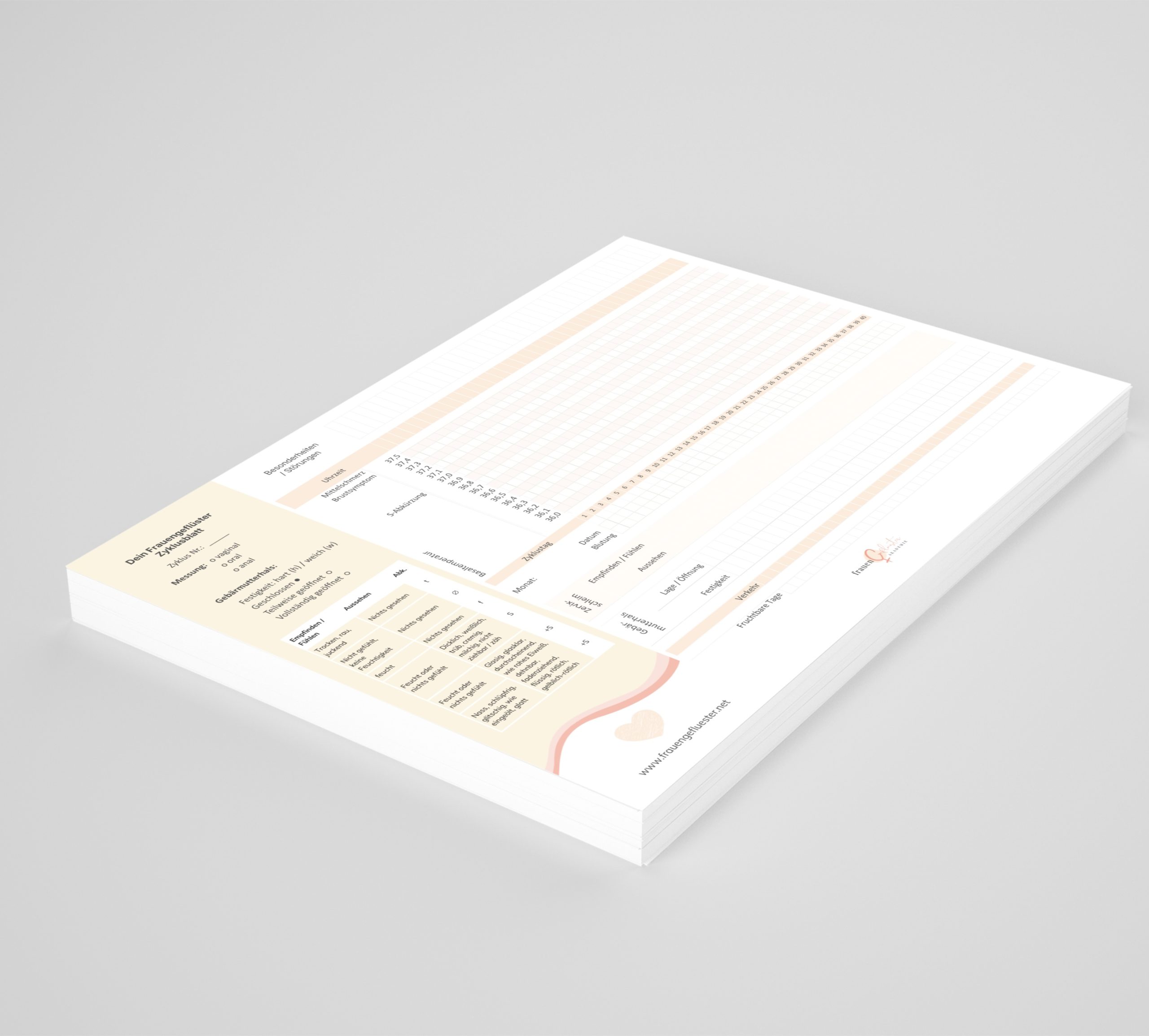NFP-Bundle 6 NFP Zyklusblatt